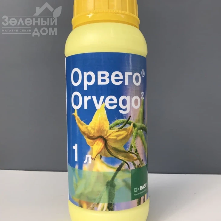 Орвего / Orvego, КС фото 1