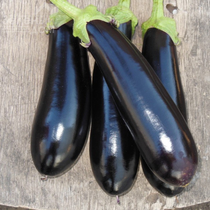 Мабел F1 / Mabel F1,95 днів фото 1