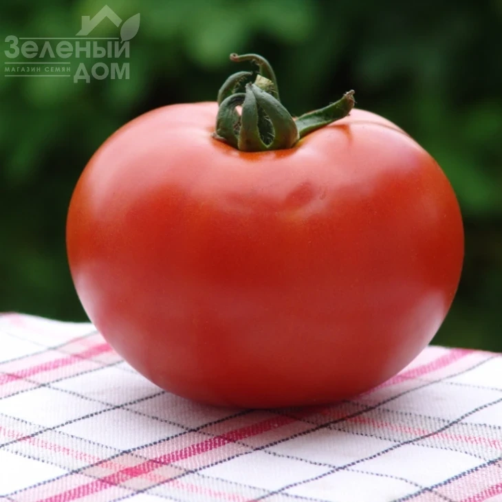 Дафне F1 / Daphne F1 фото 3