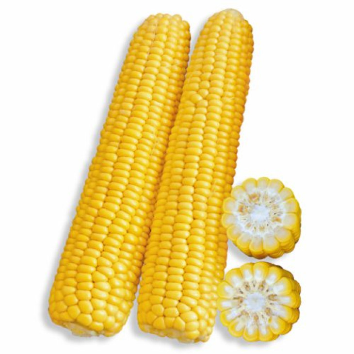 Рання Насолода F1 / Rannee Naslazhdenie F1,68 днів фото 1