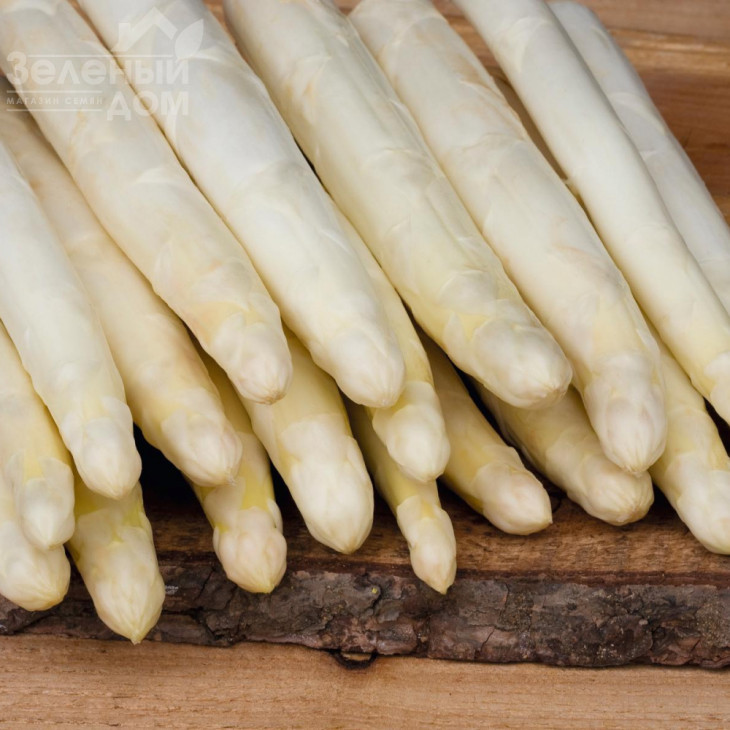 Сігнус F1 / Cygnus F1 фото 1