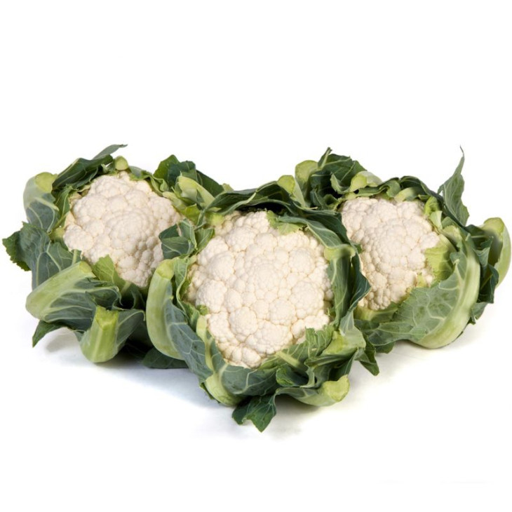 Алстон F1 / Alston F1,60-65 днів фото 1