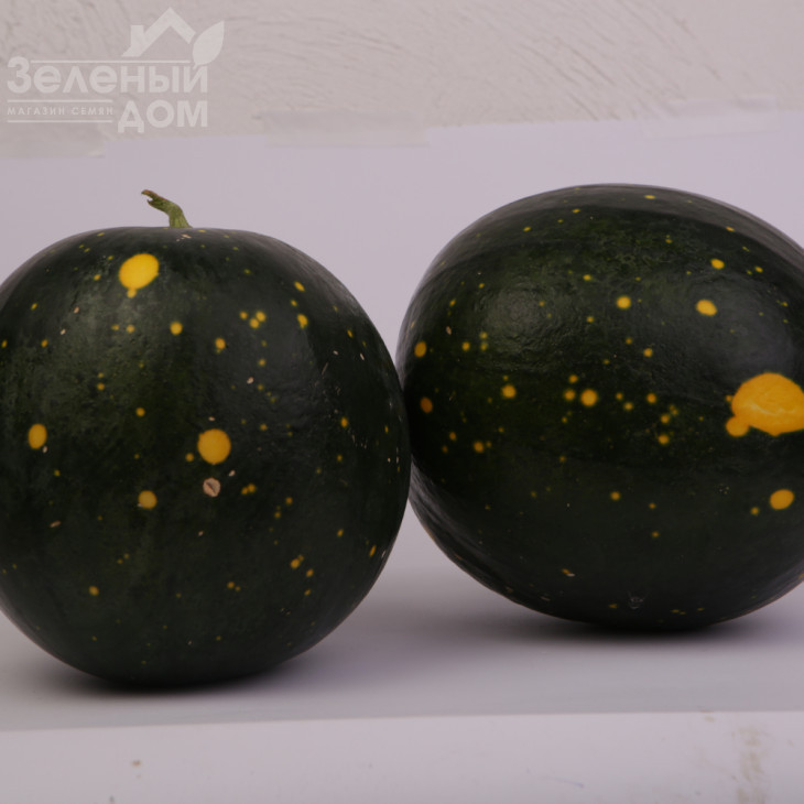 Зоряне небо F1 / Zvezdnoe nebo F1 фото 3