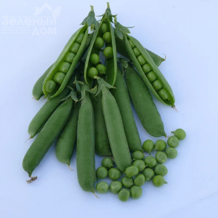 Тиара / Tiara,50-55 дней фото 1