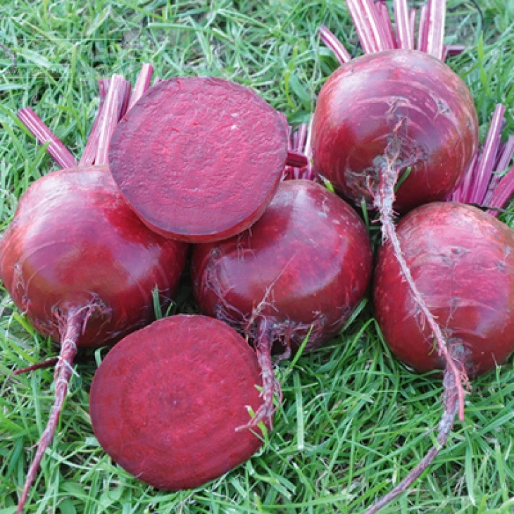 Шот Топ / Short Top,115-120 дней фото 1