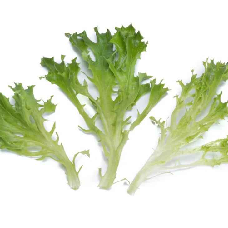 Чепмен / Chapman фото 1