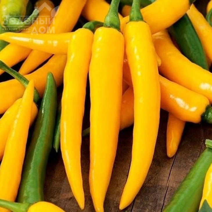 Харвей / Harvey  фото 1