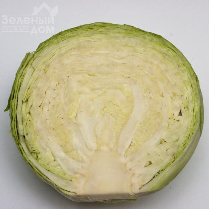 Рітейл F1 / Retail F1, 120-130 днів фото 2