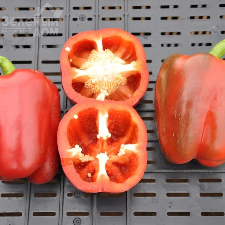 Сондела F1 / Sondela F1,80-85 дней фото 1