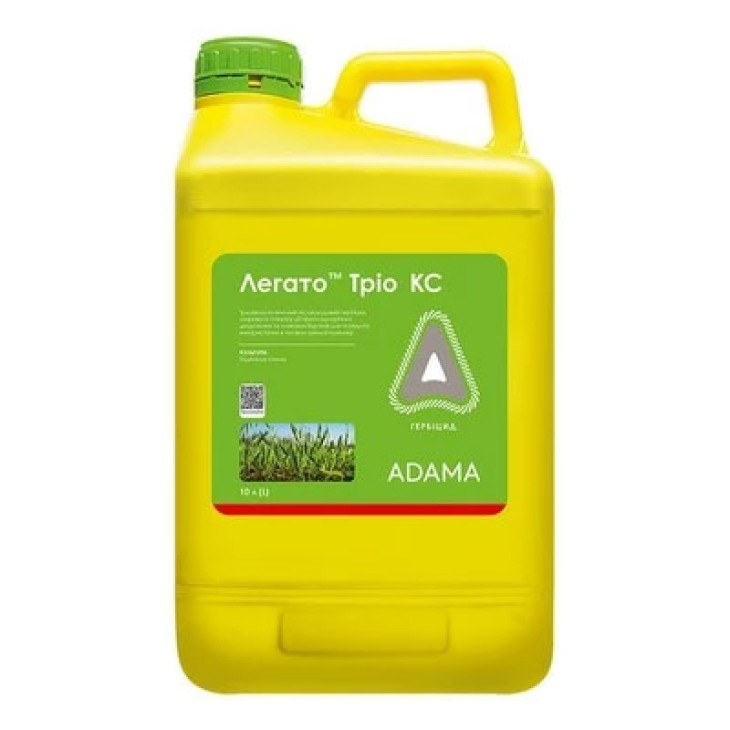 Легато Тріо, КС / Legato Trio, KS фото 1