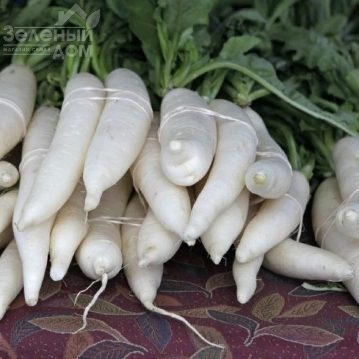 Светлячок / Svetlyachok,35-38 дней фото 1