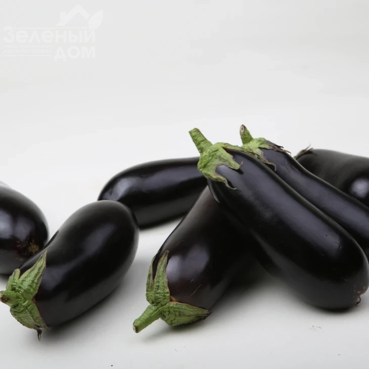 Антрацит F1 / Antratsyt F1,85-95 дней фото 1