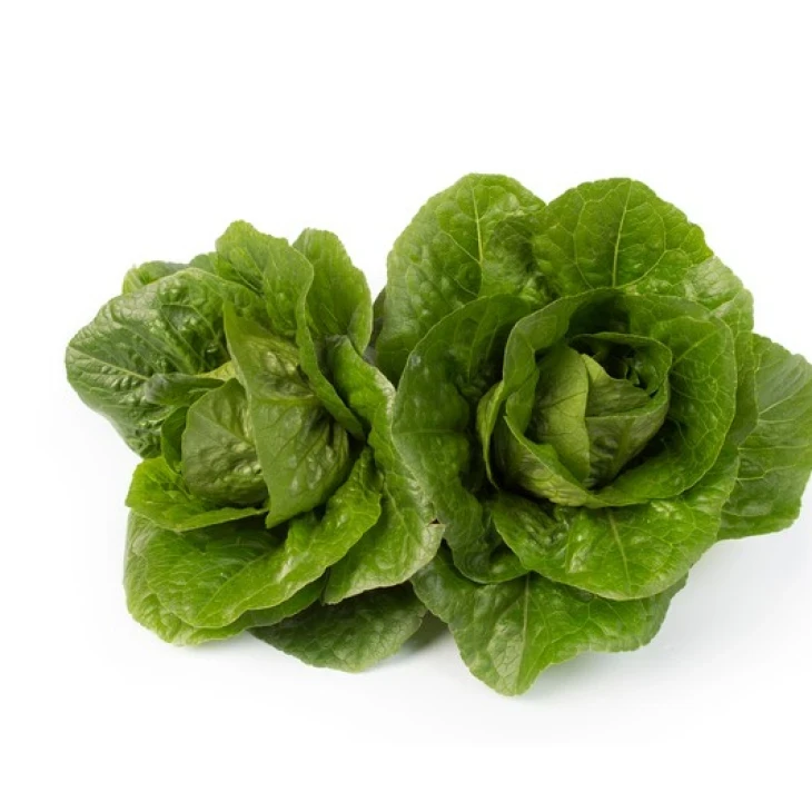 Максимус / Maximus фото 1