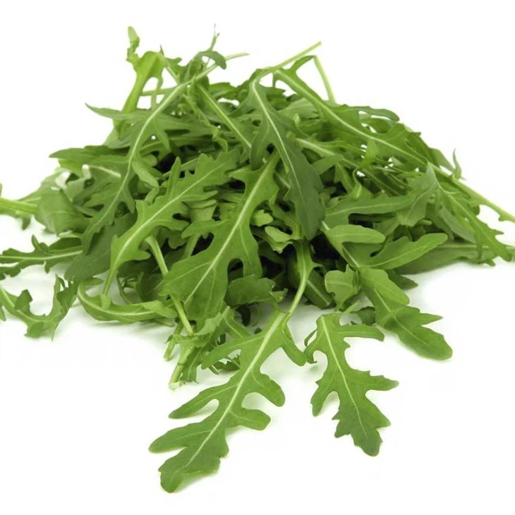 Вайлд Рокет / Vayld Rocket фото 1