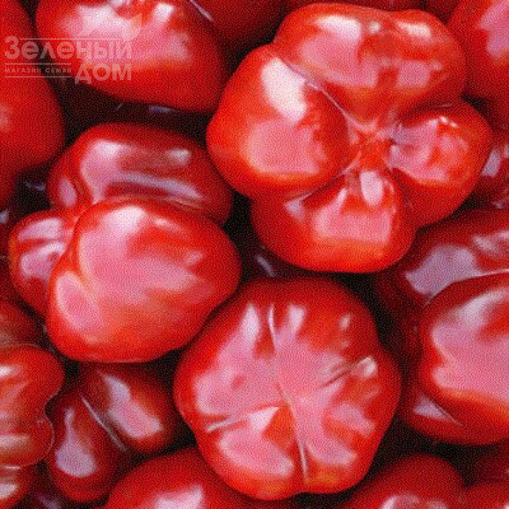 Біхар F1 / Bihar F1,70-75 днів фото 1