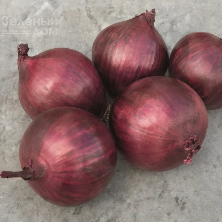 Ред Рум F1 / Red Rum F1,112 дней фото 1