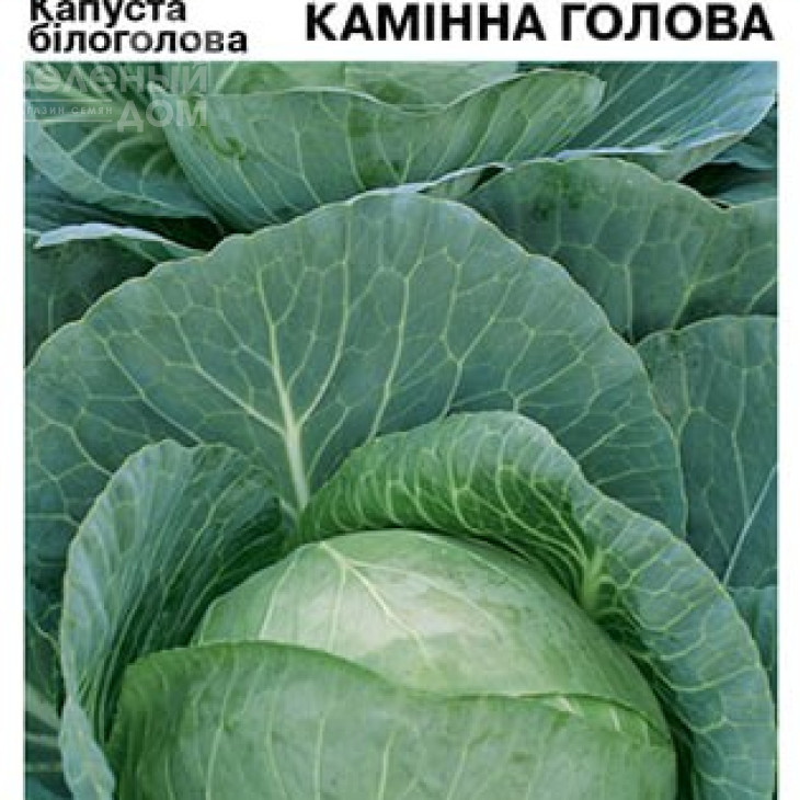 Камінна голова / Kamennaya golova фото 2