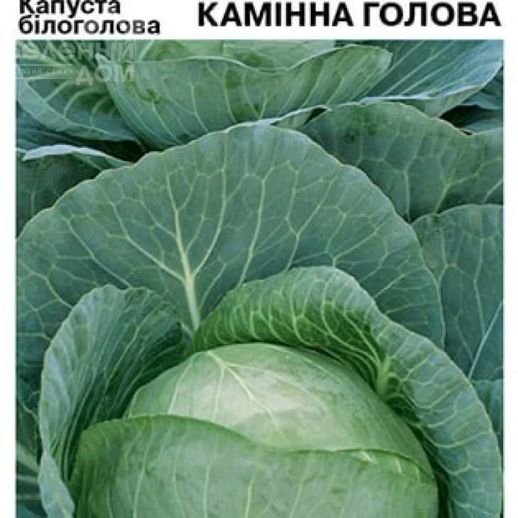 Камінна голова / Kamennaya golova фото 2