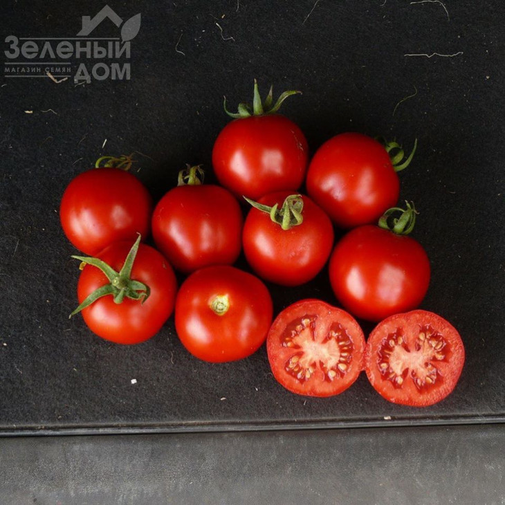 Шаста F1 / Shasta F1,85 днів фото 1