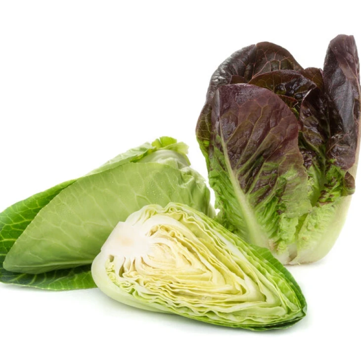 Алайн / Alaine фото 2