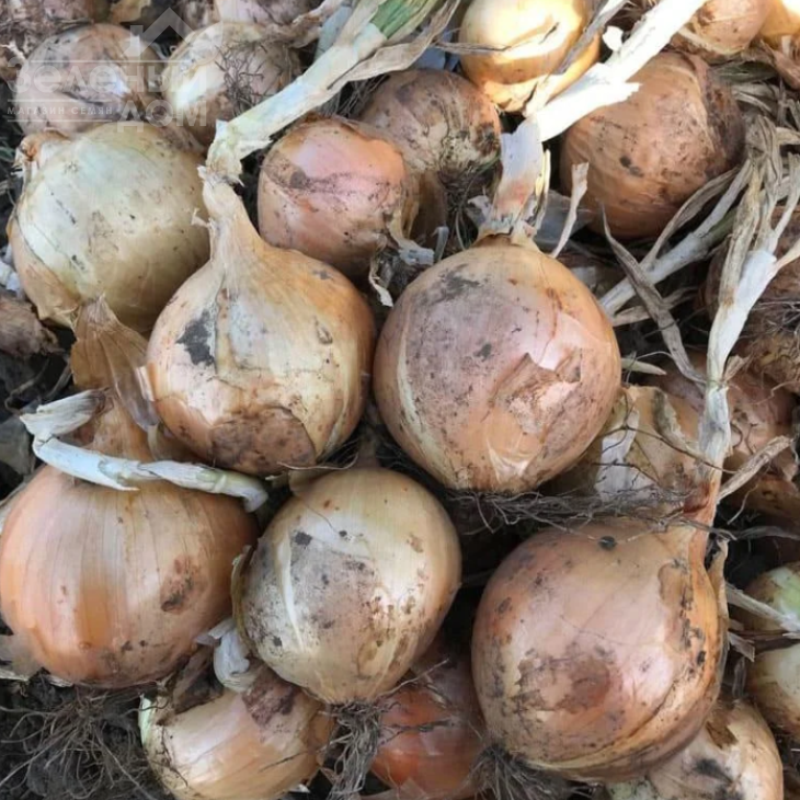 ЦРХ 2301 F1 / CRX 2301 F1 фото 1