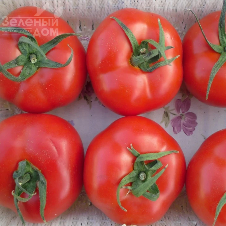 БТ 2274 / BT 2274,80 дней фото 1