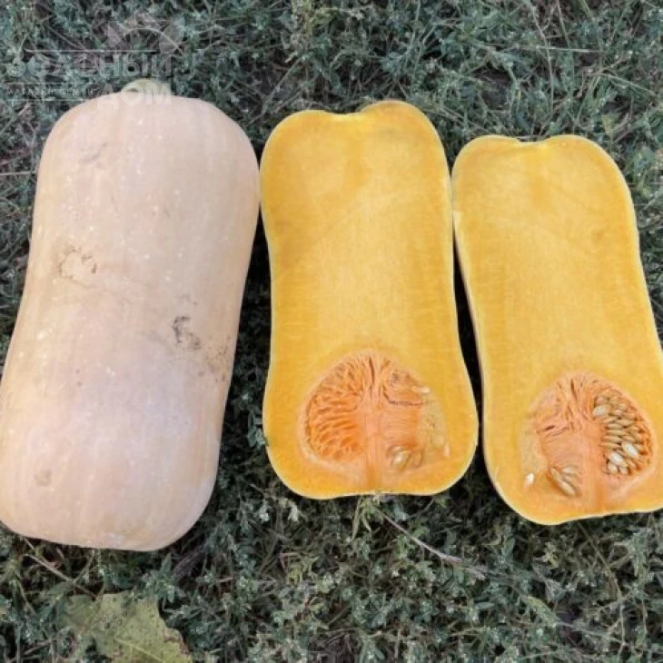 Баррель F1 / Barrel F1, 95 дней фото 1