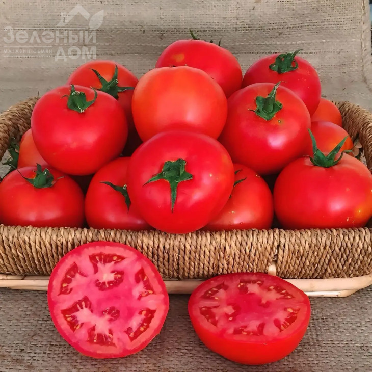 Оскар F1 / Oskar F1 фото 1