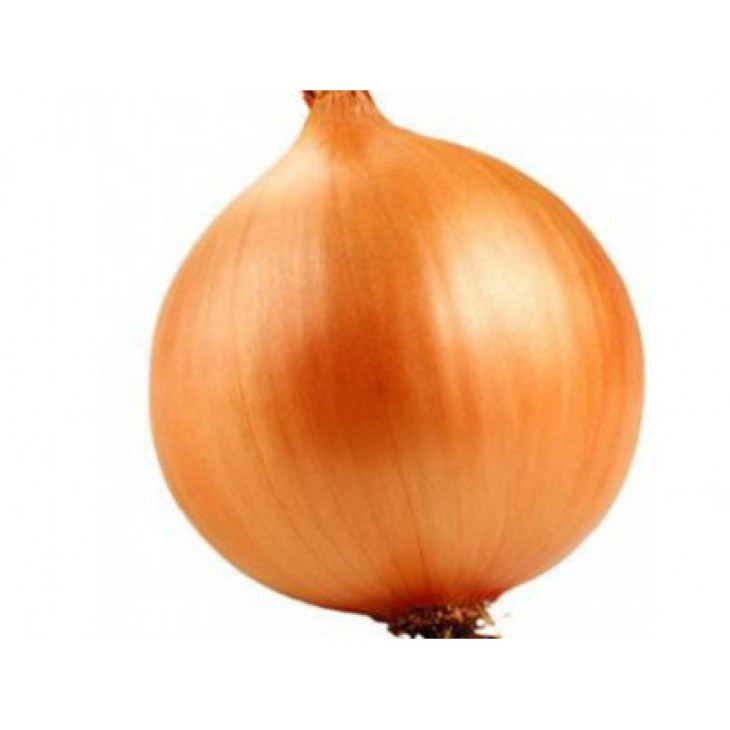 Пантер F1 / Panther F1,270-290 днів фото 2