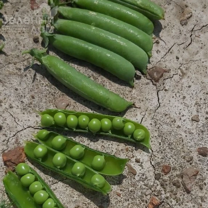 Дизайн / Design фото 1