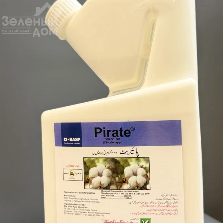 Пират 360 / Pirate 360, SC фото 1