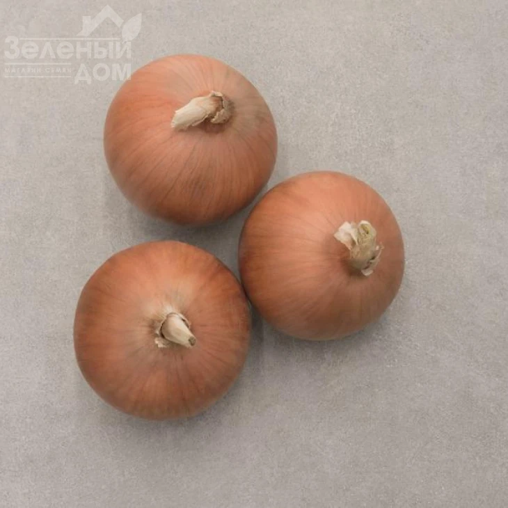 Стингрей F1 / Stingrey F1,110 дней фото 1