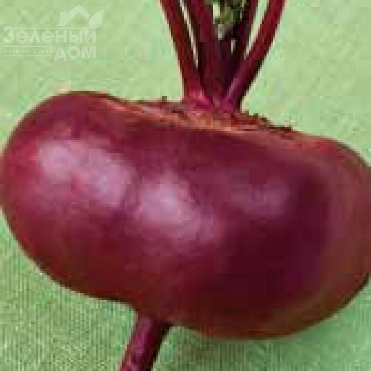 Єгіпос / Egipos фото 1