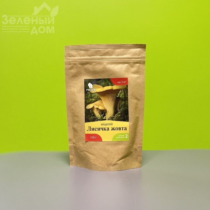 Лисичка жовта фото 1