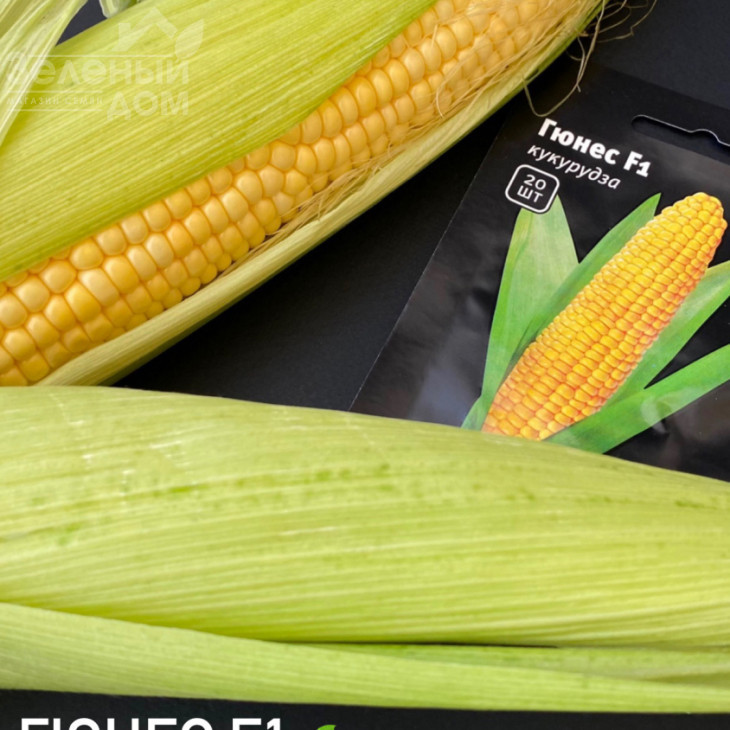 Гюнес F1 / Hyunes F1 фото 2