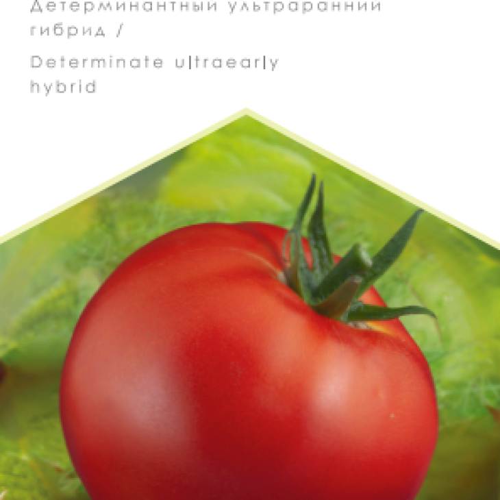 Твінкл F1 / Twinkle F1, 83-85 днів фото 1