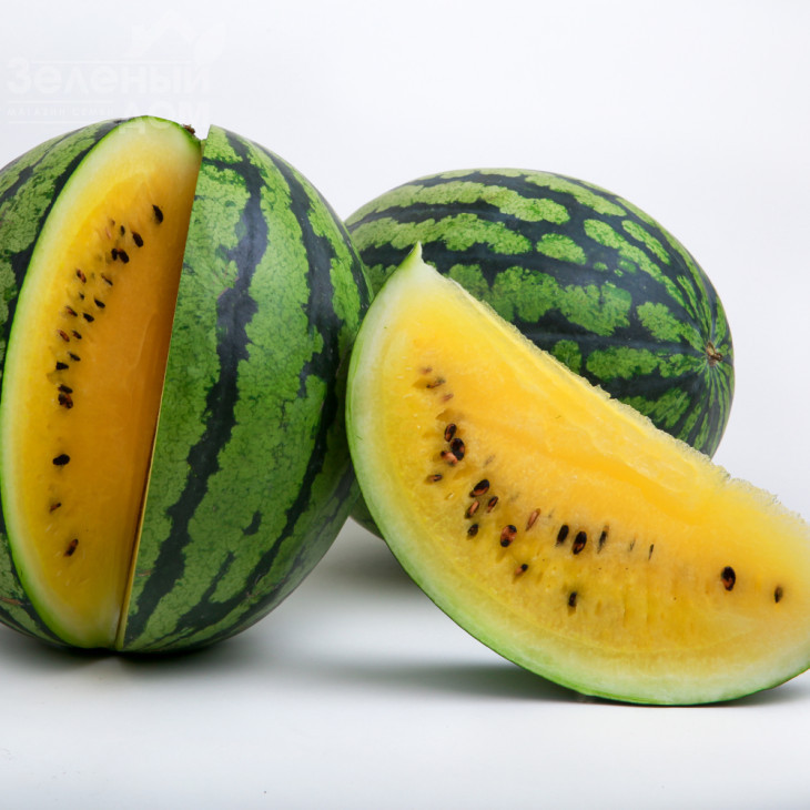 Покемон (LS 1809) F1 / Pokemon (LS 1809) F1 фото 4