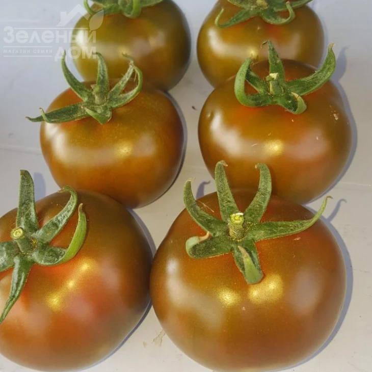 Силиври F1 / Silivri F1, 65-70 дней фото 1