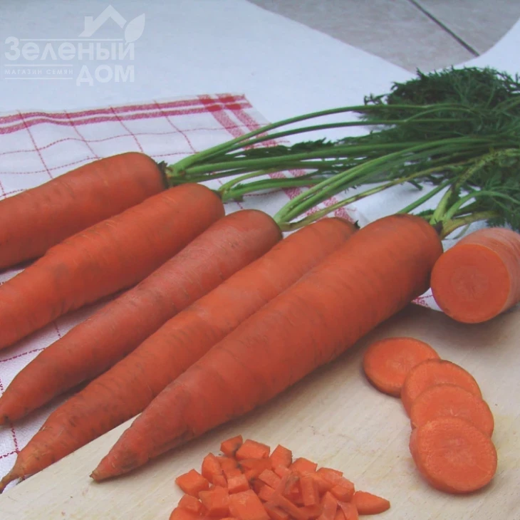 Тинга / Tinga,150 дней фото 1