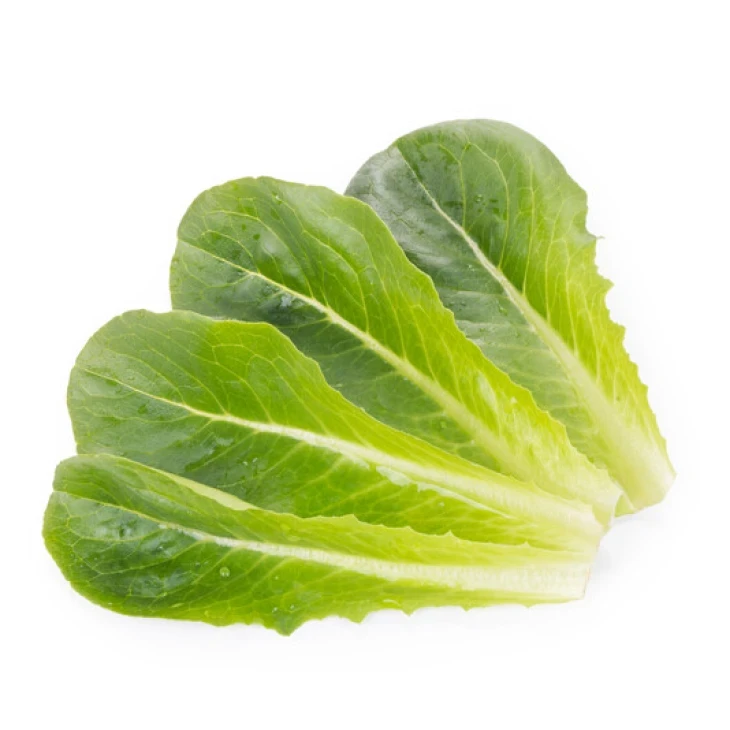 Дейволт / Daywalt фото 1