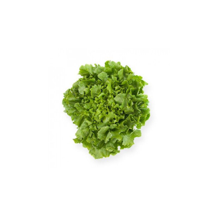 Кейтел / Kethel фото 1