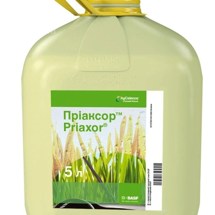Пріаксор / Priaxor, КЕ фото 1