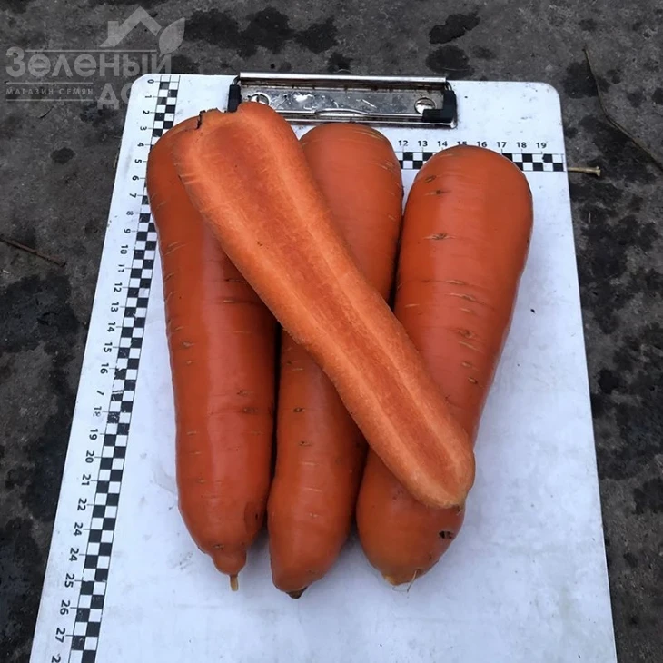 Централ F1 / Central  F1,120 дней фото 1