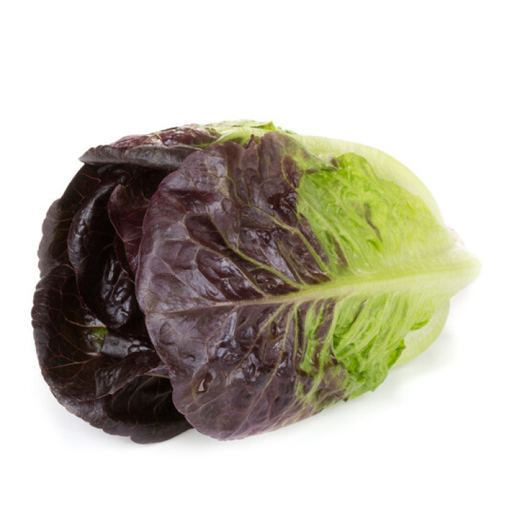 Алайн / Alaine фото 1