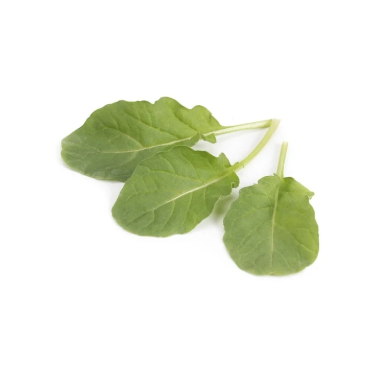 Спаркл / Sparkle фото 1