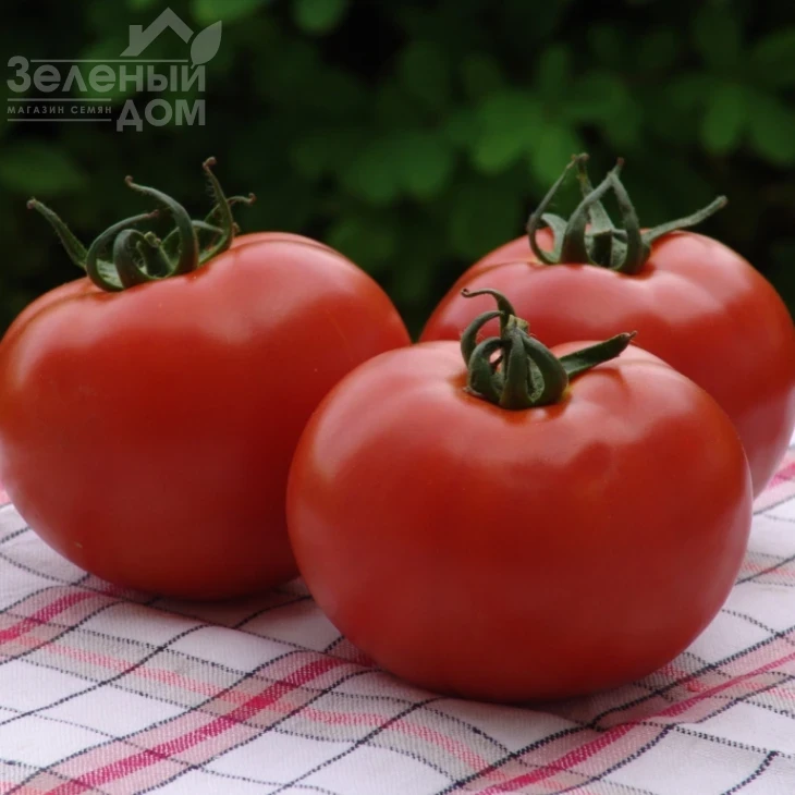 Атерон F1 / Ateron F1 фото 1