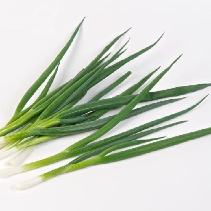 Йода F1 / Yoda F1 фото 2