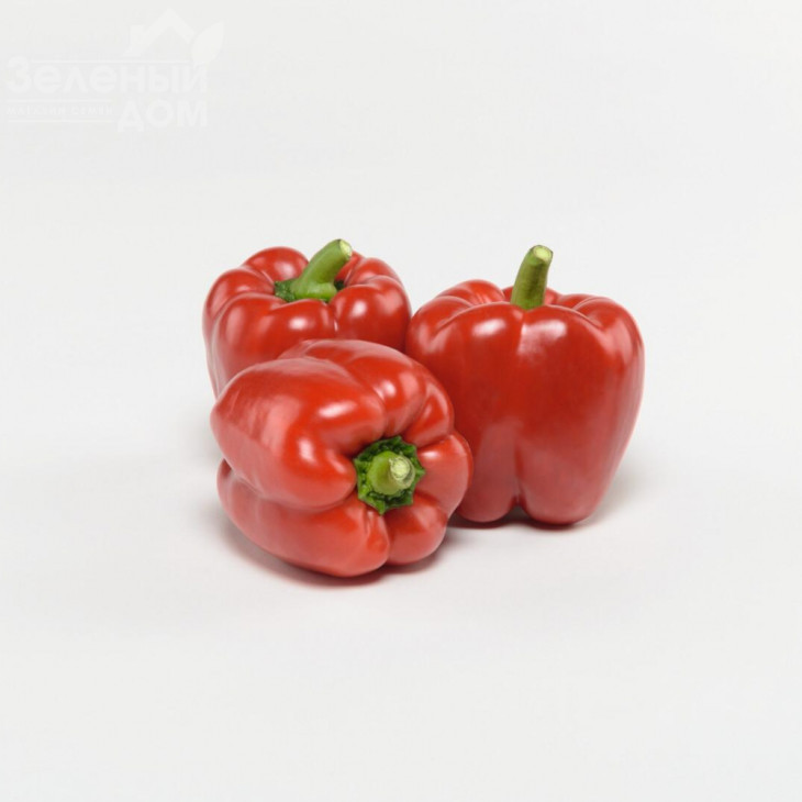 Чайка F1 / Chayka F1, 70-75 днів фото 2