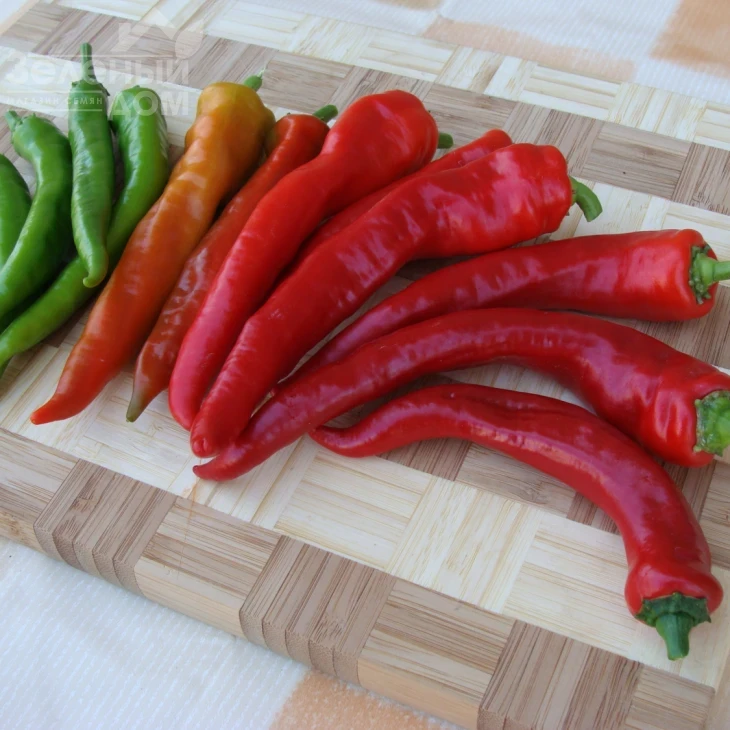 Посейдон / Poseydon фото 1