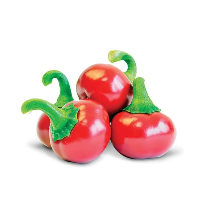 Глобал F1 / Global F1 фото 1